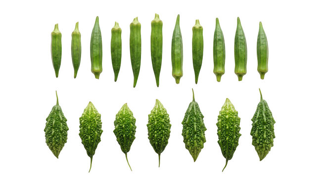 Fresh green okra vegetable pods and bitter melon arranged in rows for healthy cooking and nutrition