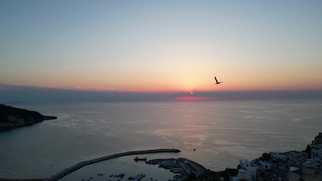 tramonto sul mare in estate con i gabbiani