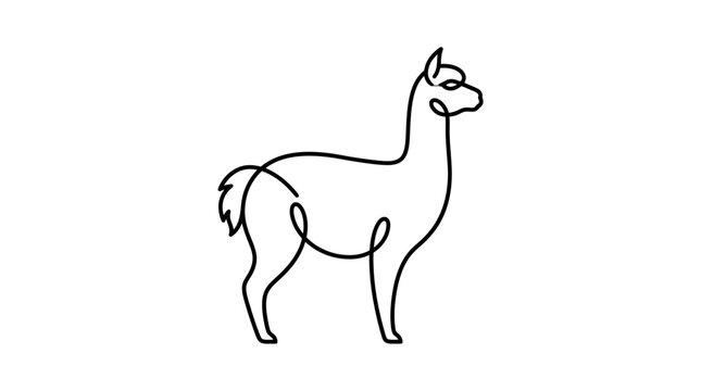 Continuous line drawing llama profile.