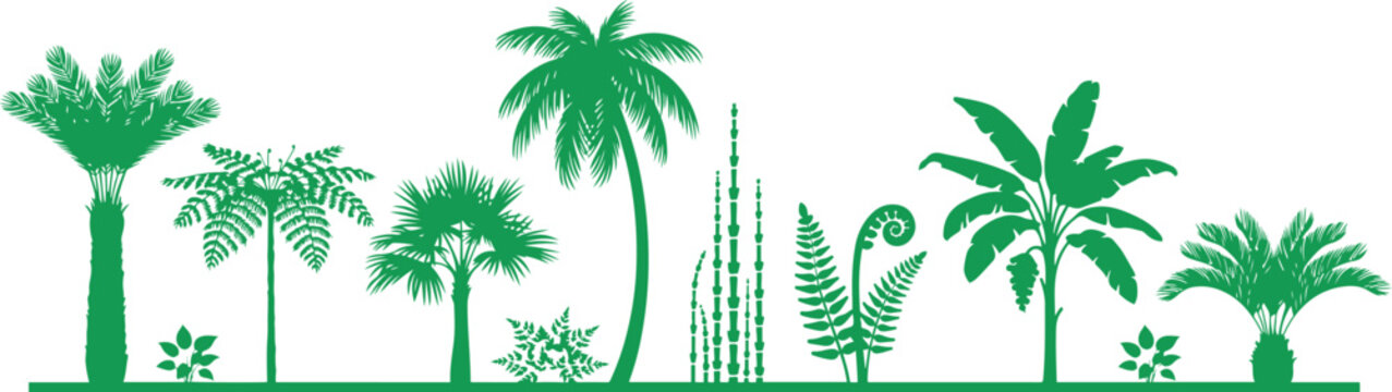 Prehistoric and Tropical Plant Silhouette Vector Set with Cycads, Tree Ferns and Palm Trees. silhouette icons vector