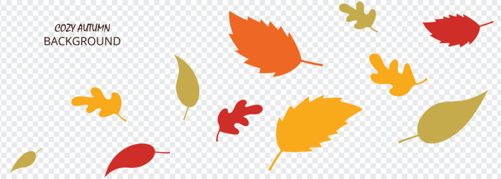 Autumn Falling Leaves Border &ndash; Colorful Fall Foliage Frame with Maple, Oak and Botanical Seasonal Leaf Elements on Transparent Background Vector