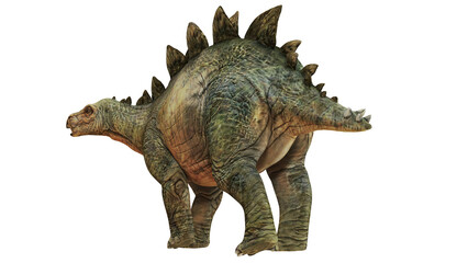Realistic Stegosaurus dinosaur on a white background. © Ilie
