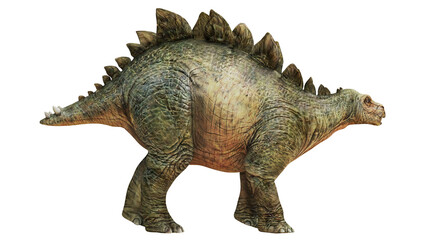 Realistic depiction of a stegosaurus dinosaur © Ilie