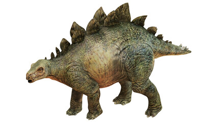 Realistic depiction of a Stegosaurus dinosaur © Ilie