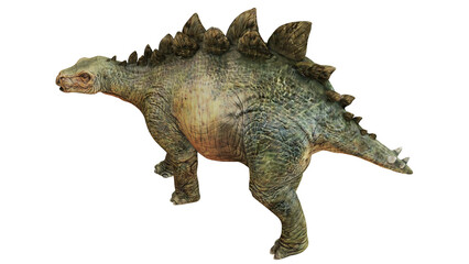 Realistic Stegosaurus dinosaur model on white background. © Ilie