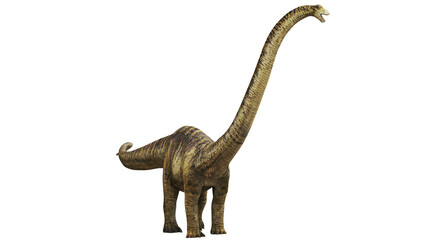 Majestic Brachiosaurus on white background © Ilie