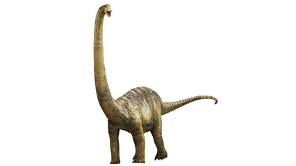 Majestic sauropod dinosaur with long neck. © Ilie