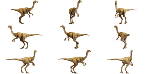 Illustrations of a Theropod dinosaur in various poses. © Ilie