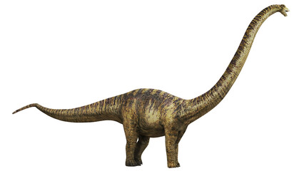 Illustration of a towering Brachiosaurus dinosaur © Ilie