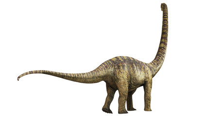 Brachiosaurus Dinosaur on White Background © Ilie