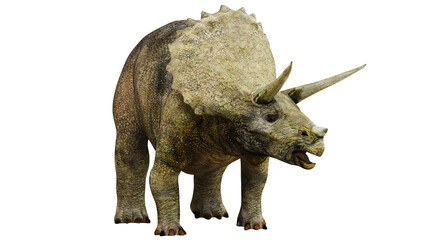 Majestic triceratops dinosaur in a lifelike pose © Ilie