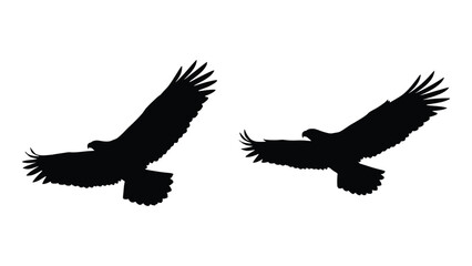 Fototapeta premium Two flying eagle silhouettes isolated against plain white background for graphic design projects