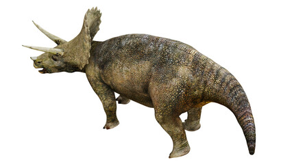 Realistic depiction of a triceratops dinosaur. © Ilie