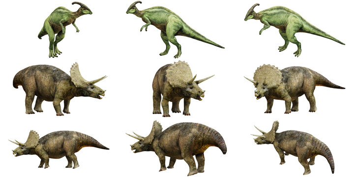 Illustration of Parasaurolophus and Triceratops dinosaurs