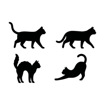 Set of four black silhouettes of cats in different poses like walking stretching and arched back Vector