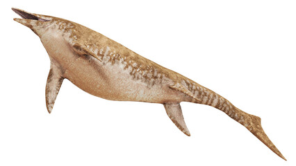 Illustration of an ancient marine reptile. © Ilie