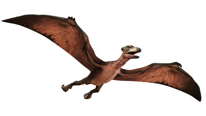 Realistic depiction of a flying pterosaur. © Ilie