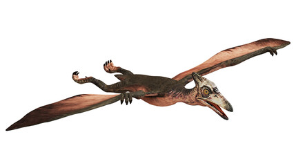 Realistic pterosaur soaring through the sky. © Ilie