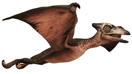 Illustration of a flying pterosaur dinosaur © Ilie