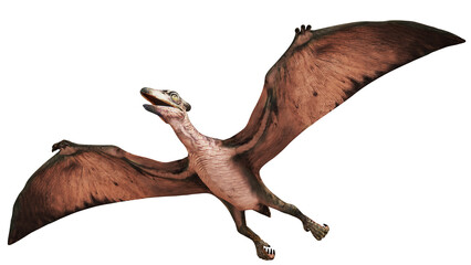 Realistic rendering of a flying Pterosaur. © Ilie