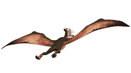 Majestic pterosaur gliding through the sky. © Ilie