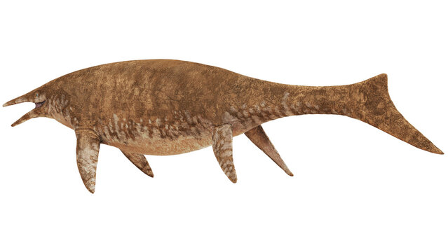 Illustration of a prehistoric marine reptile