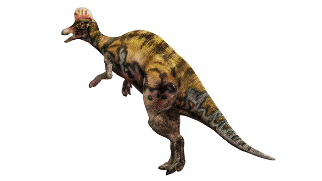 Realistic Parasaurolophus dinosaur on white background.