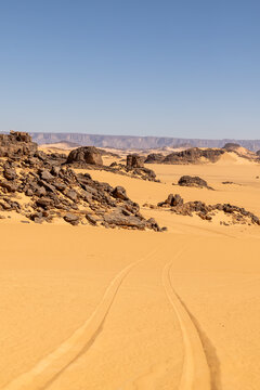Tire Tracks Across a Desert Sand Dune