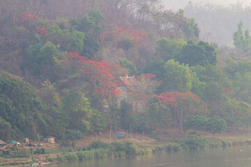 Breathtaking and impressive landscape in Luang Prabang, Laos. High-quality photo © Saigonese