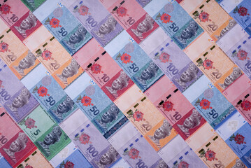 Malaysian ringgit banknotes as a tool for trade and financial transactions. The Malaysian ringgit © chernikovatv