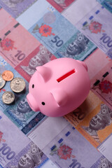 A piggy bank as a concept for storing, accumulating, and saving financial resources. A piggy bank © chernikovatv