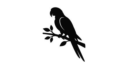 Parrot Silhouette On Branch Black And White Graphic © MBHM Studio