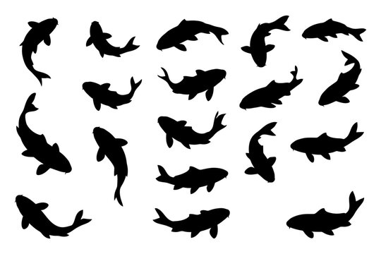 Silhouette collection of koi fish in various poses on white background.