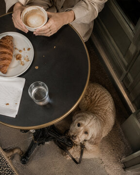 Dog Sitting Under Cafe Table While Woman Drinks Coffee