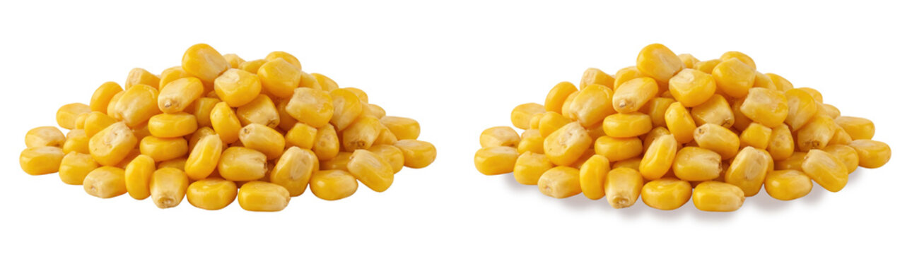 Sweet corn kernels isolated on white background, two piles of organic yellow maize seeds, fresh canned corn vegetable for food packaging
