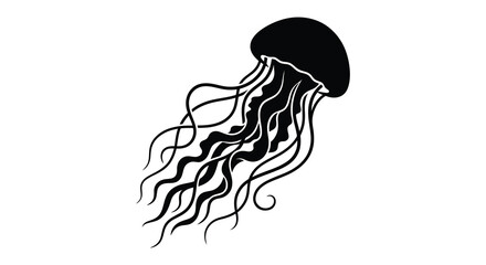 Black jellyfish silhouette on a white background marine invertebrate illustration © MBHM Studio
