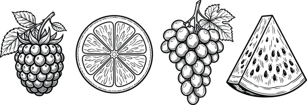 Vintage sketch fruits collection vector set with raspberry orange grapes and watermelon slice on white background