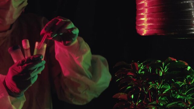 Plastic pollution. Laboratory investigation. Scientist woman in protective cloth taking analyses bonsai tree under corrugated pipe polyethylene film on dark background.