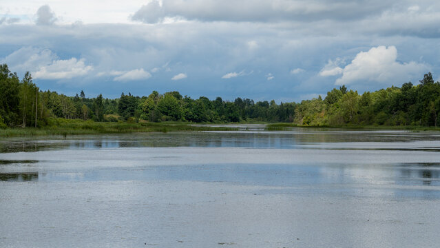Tranquil forest lake under dramatic summer clouds