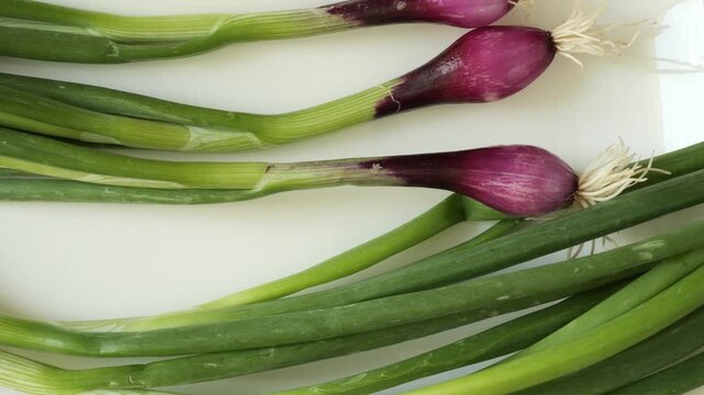 Fresh spring red onion dolly shot on white background