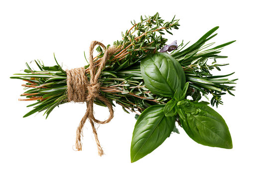 Fresh herb bouquet with rosemary, thyme, and basil tied with twine isolated on transparent background