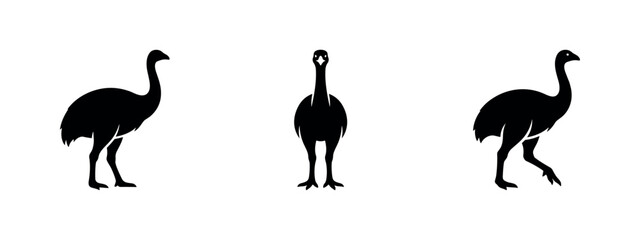 Obraz premium Emu bird silhouette icons