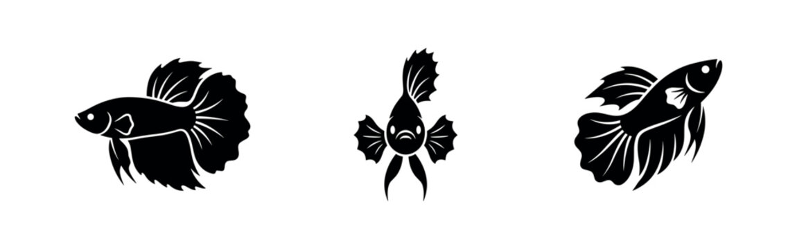 Siamese fighting fish betta splendens silhouette icons