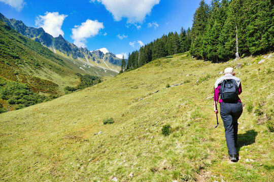 A lone female hiker ascends a verdant alpine meadow, surrounded by majestic mountains and dense evergreen forests under a clear blue sky. Bludenz area, Vorarlberg province, Austria
