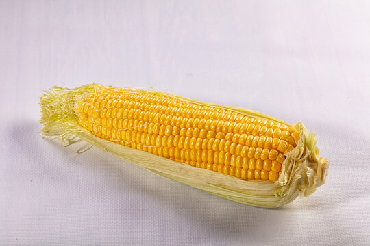 Fresh yellow corn on cob with husk partially peeled on white background
