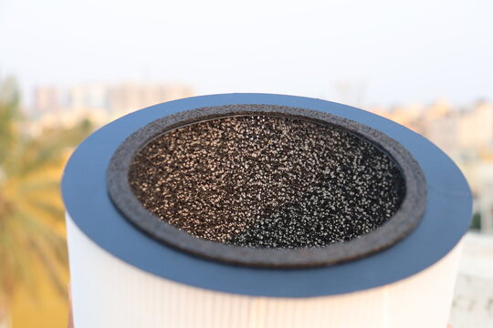 Air purifier filter element with visible activated carbon layer