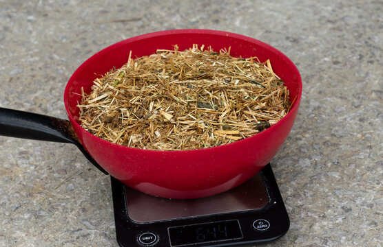 Close-up of a scoop of horse feed chaff weighed on digital kitchen scales before feeding. Illustrates accurate feed measurement, equine nutrition, ration control, stable management.