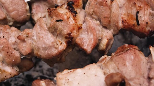 Juicy pork shashlik browning on metal skewers above hot charcoal, capturing traditional outdoor barbecue cooking with smoky flavor, golden crust, and tender grilled meat