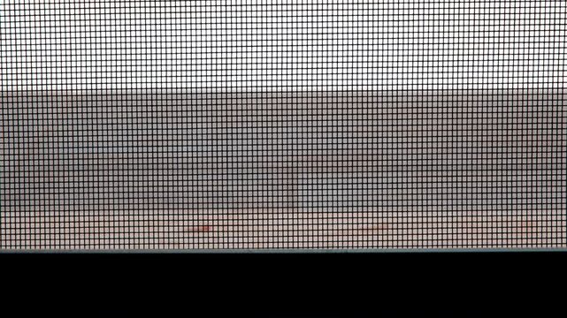 High detail insect mesh screen showing protective window barrier