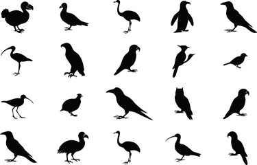 Set of bird silhouettes, collection of various bird species © Abdur